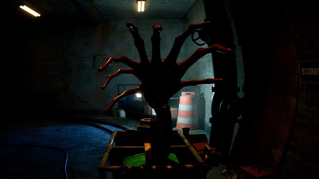 Zoochosis thumbnail 11