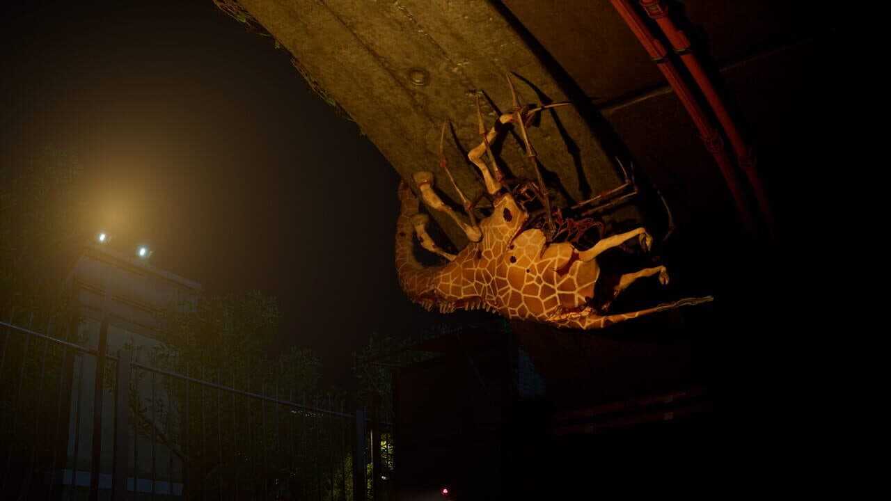 Zoochosis thumbnail 12