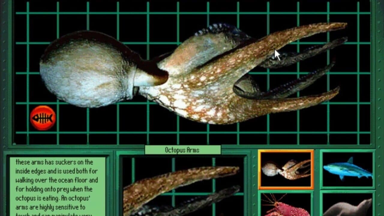 Undersea Adventure thumbnail 3