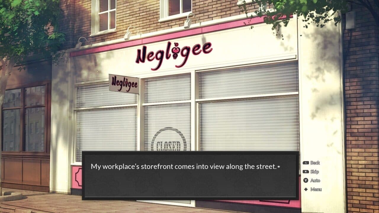 Negligee thumbnail 3
