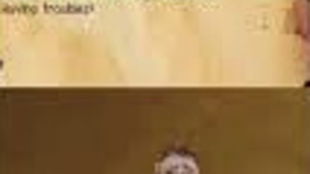Shrek Forever After thumbnail 12