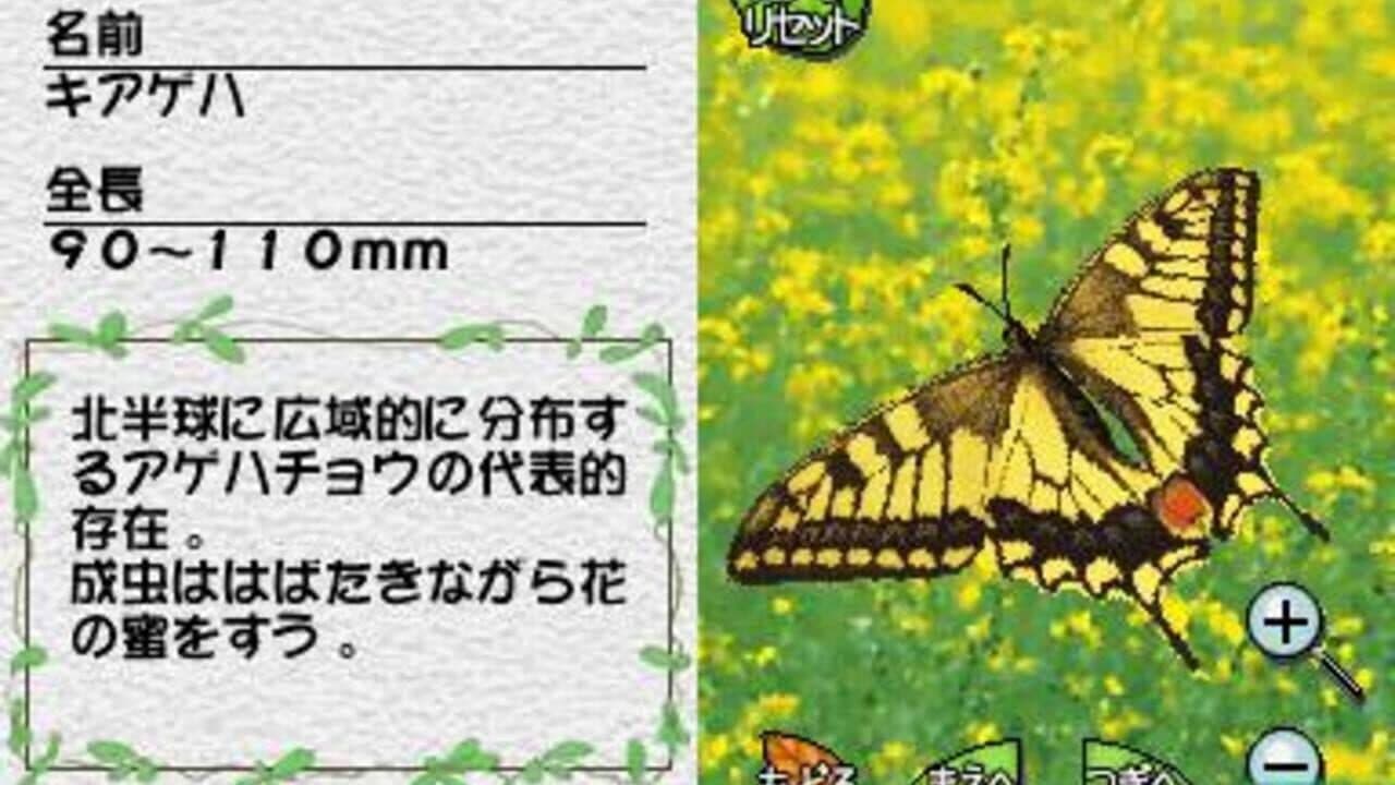 Mushi! Machi no Konchuu Monogatari thumbnail 7