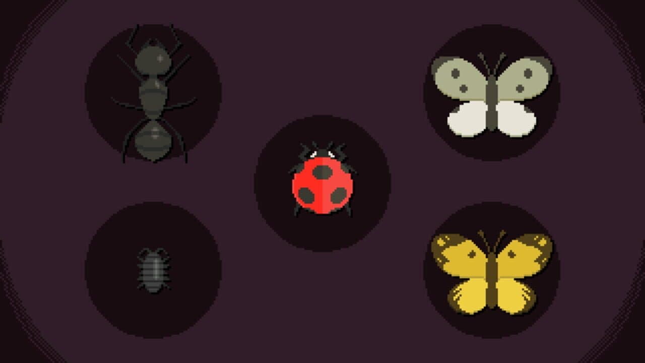 Kind Donations screenshot 1