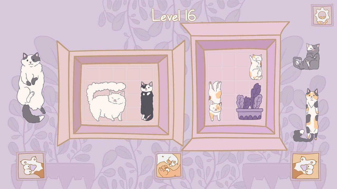 Cats in Boxes thumbnail 2