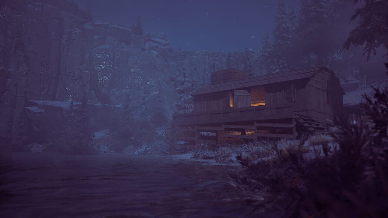 Winter Survival thumbnail 5