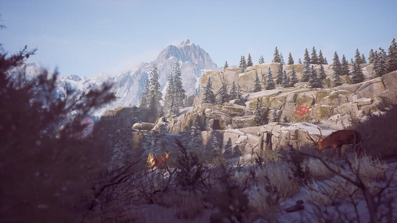 Winter Survival thumbnail 7