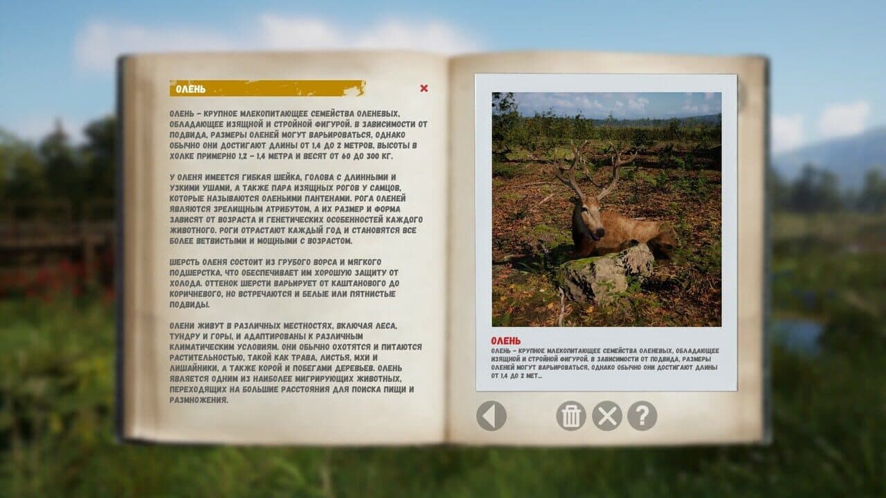 Russian Soul Simulator thumbnail 3