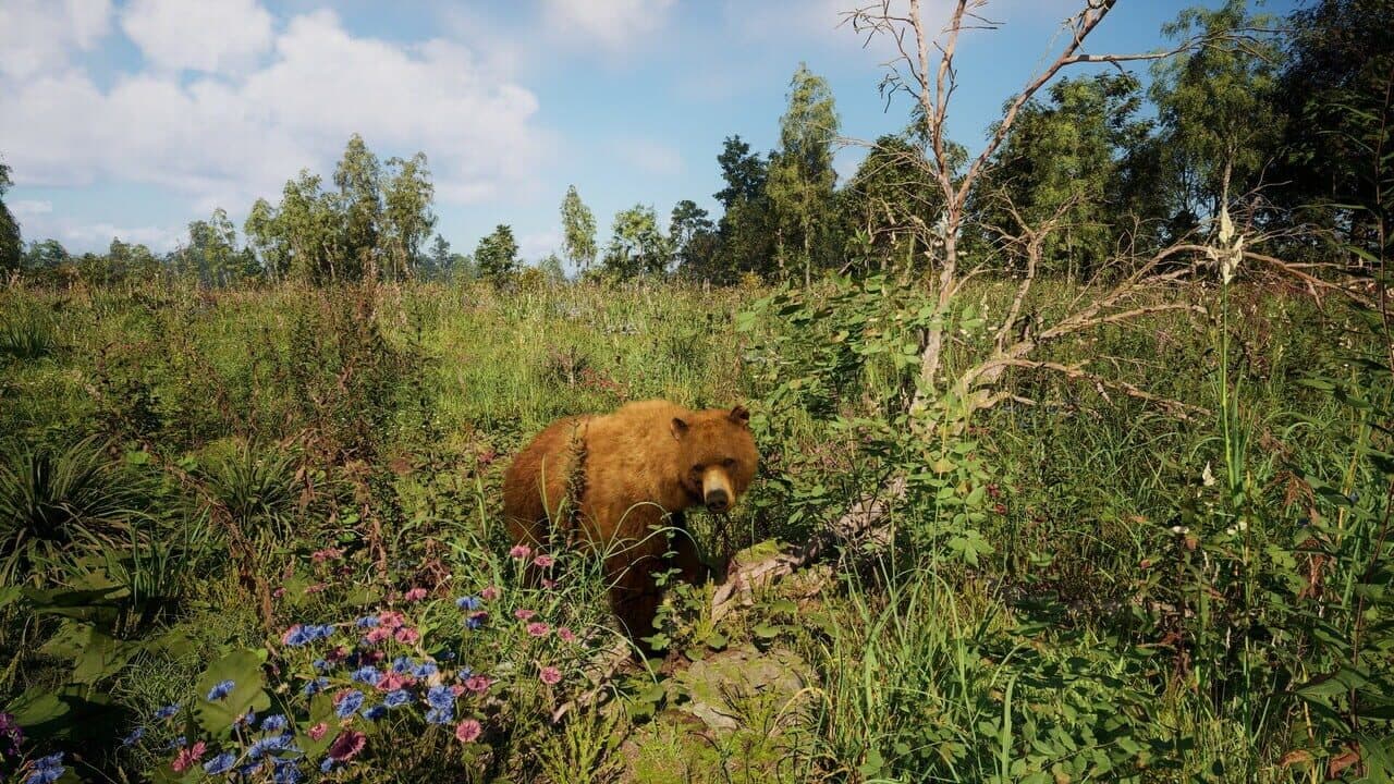 Russian Soul Simulator thumbnail 5