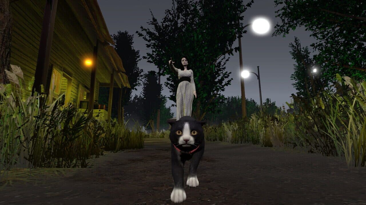 Shadows in Silence thumbnail 3