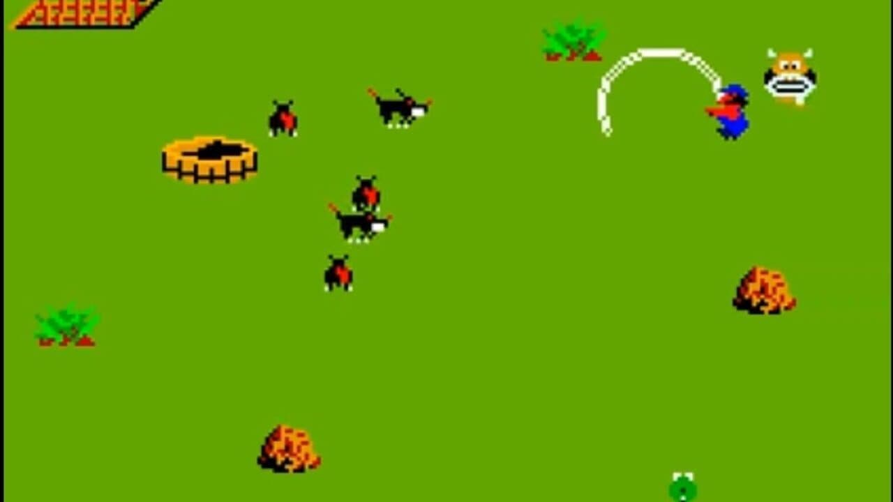 Lasso thumbnail 2