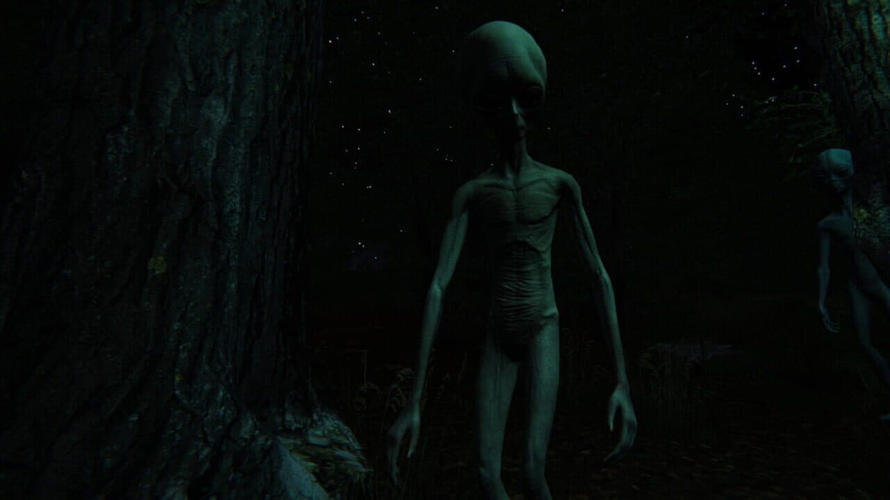 The Echo Paradox thumbnail 7