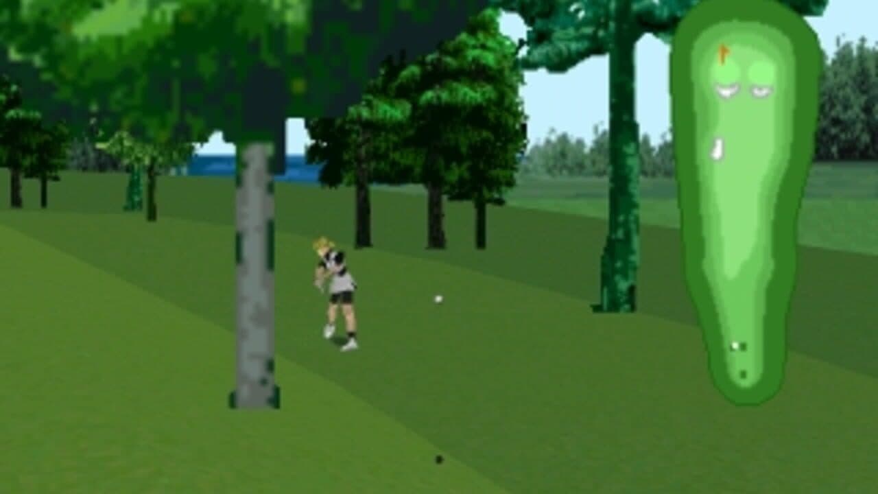 Nihon Pro Golf Double Eagle thumbnail 4