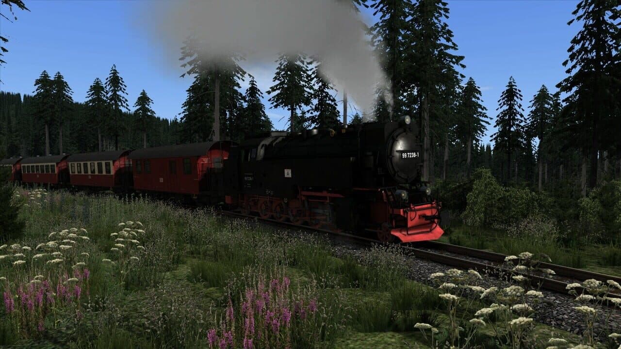 Train Simulator Classic: Brockenbahn - Wernigerode: Brocken Route thumbnail 10