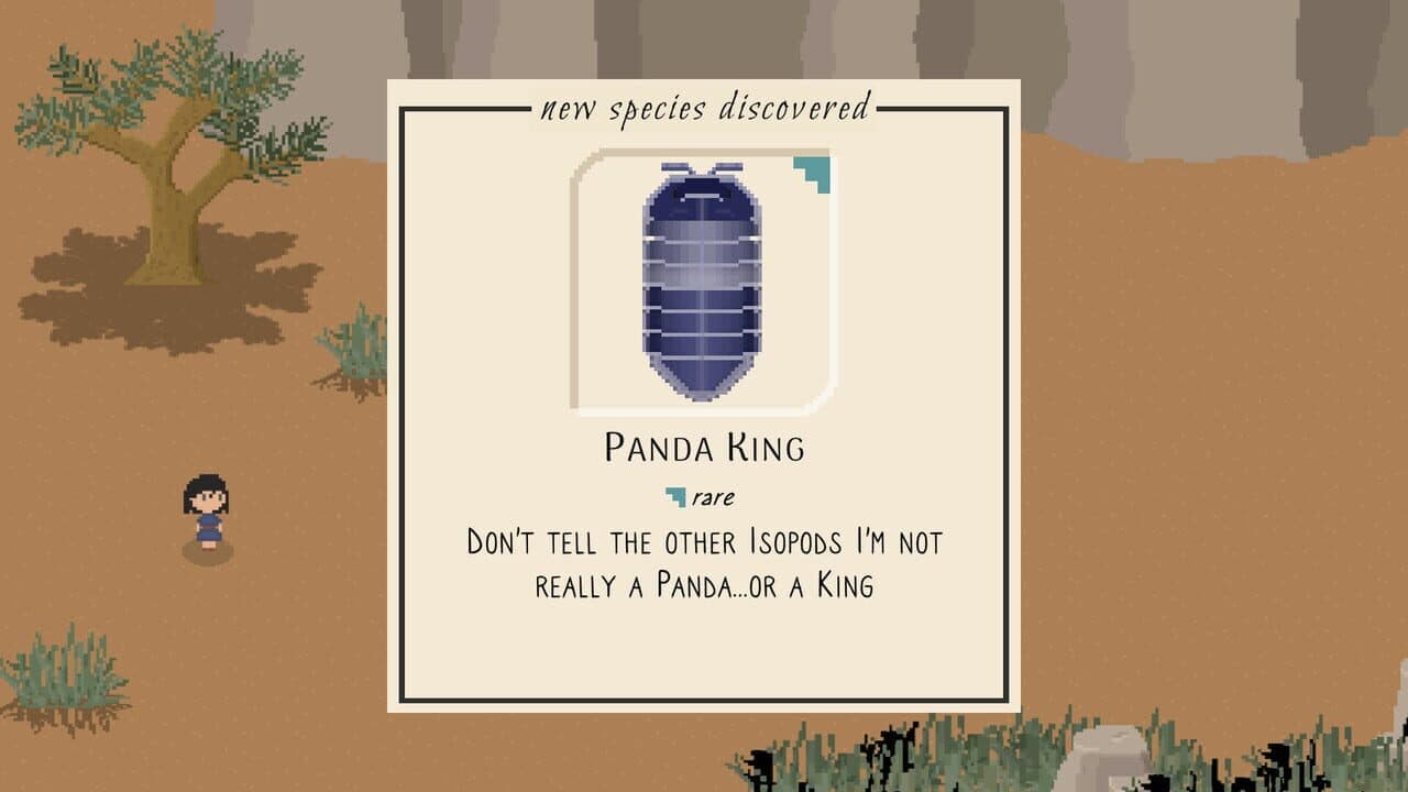 Bug & Seek: Isopods thumbnail 3