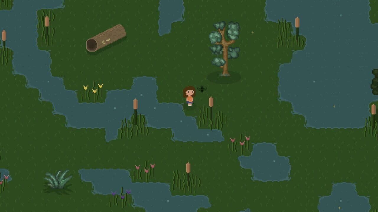 Bug & Seek: Isopods thumbnail 8