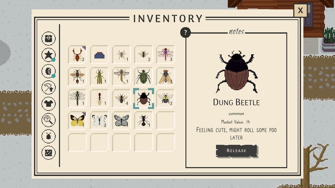 Bug & Seek: Isopods thumbnail 10