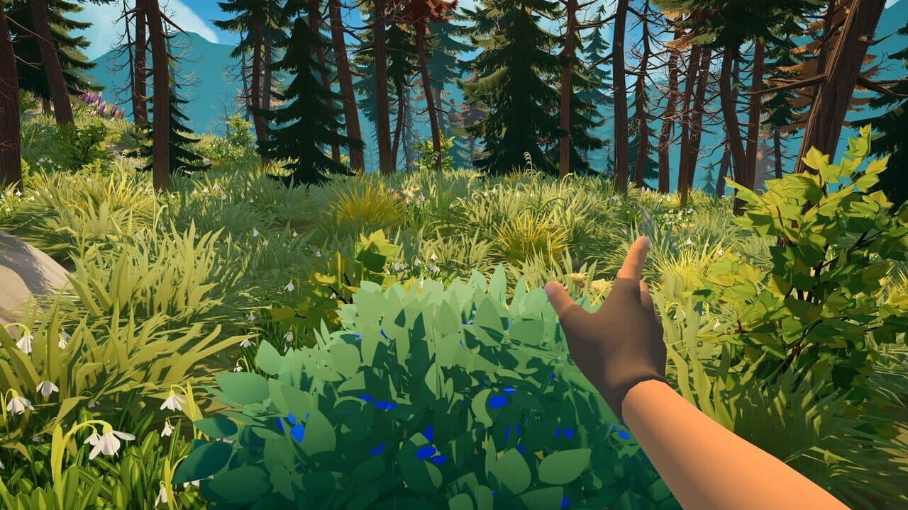 Outbound thumbnail 2
