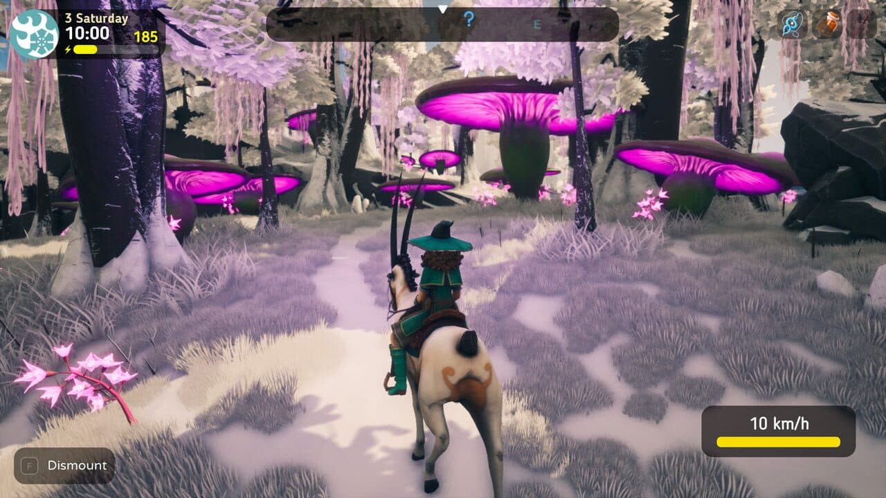 The Witch of Fern Island thumbnail 3