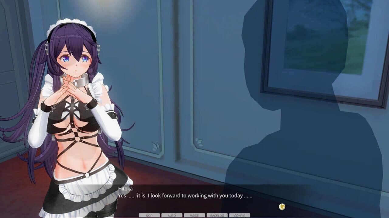 Custom Order Maid 3D2: Character EX Pack - Perverted Extreme Masochist thumbnail 3