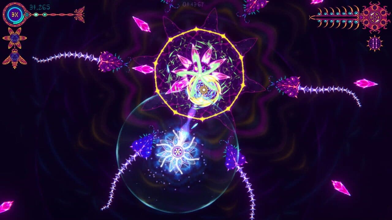 Nidus thumbnail 3