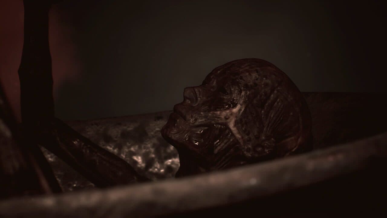 Oxide Room 208 thumbnail 5