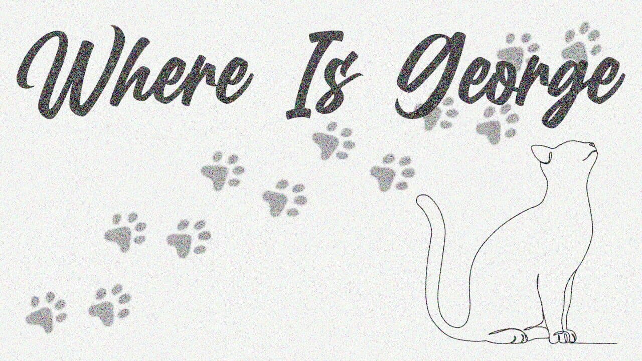 Where Is George thumbnail 7