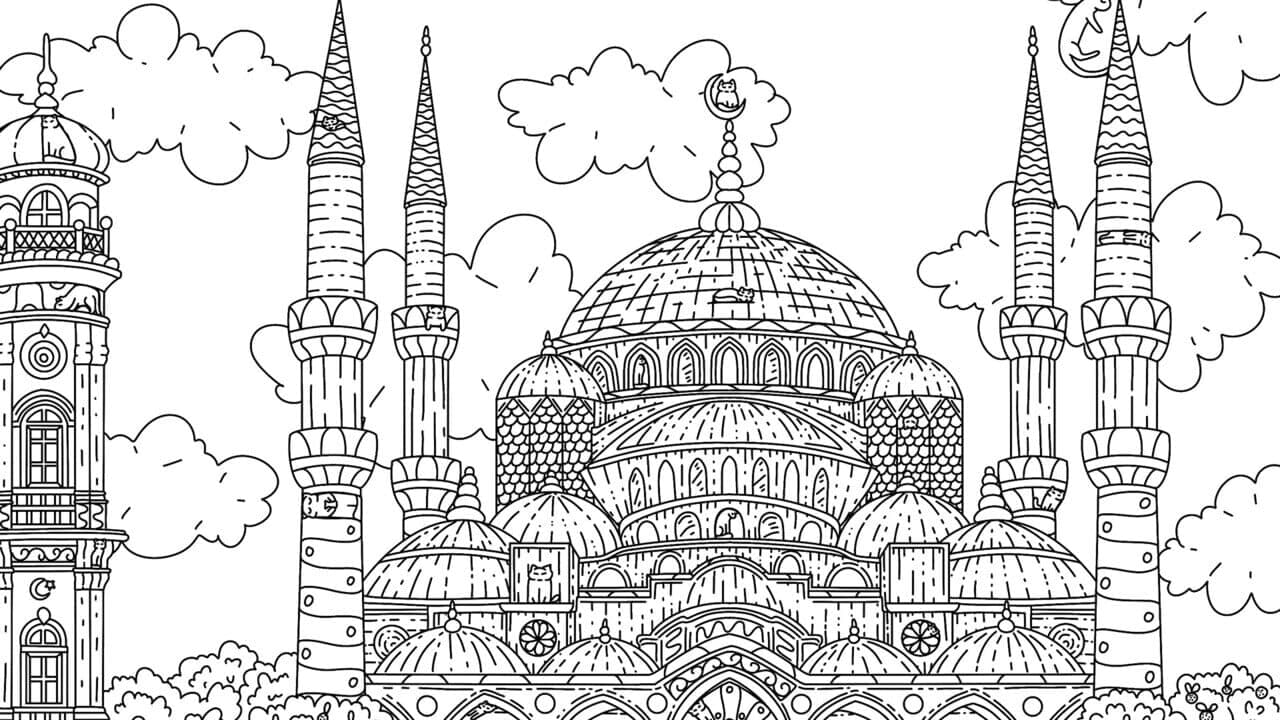 100 Istanbul Cats thumbnail 6