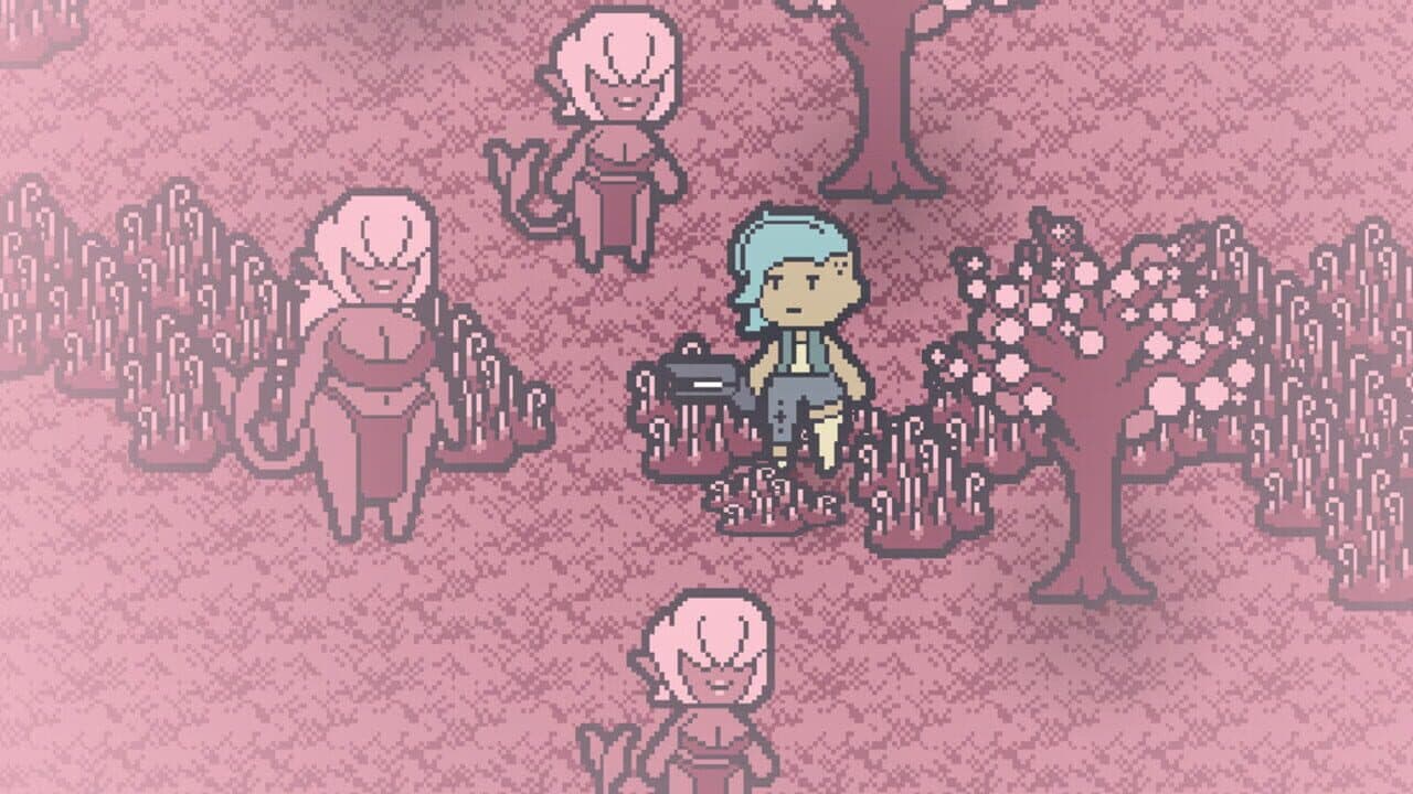 Solace Inc. thumbnail 3