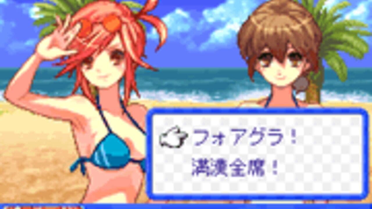 Beach Volleyball Girl Shizuku 2: Hishou-Hen thumbnail 5
