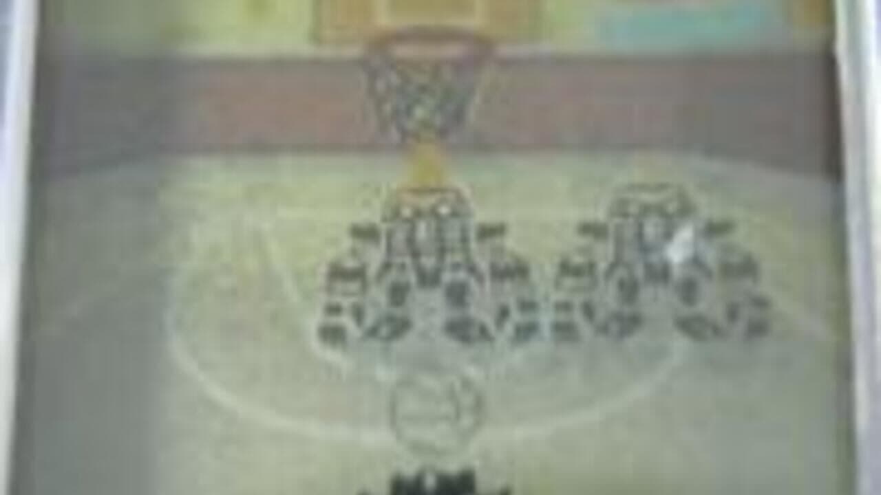 Shadow Basketball screenshot 1