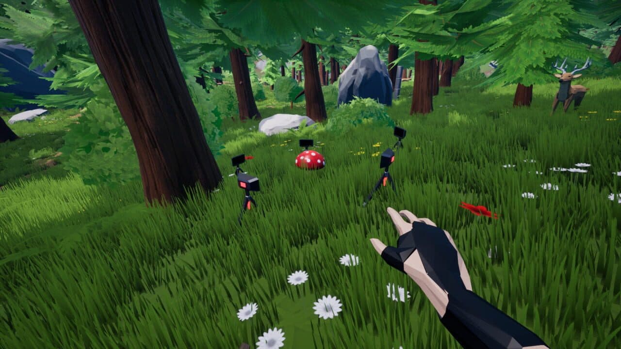 Oh Deer thumbnail 11