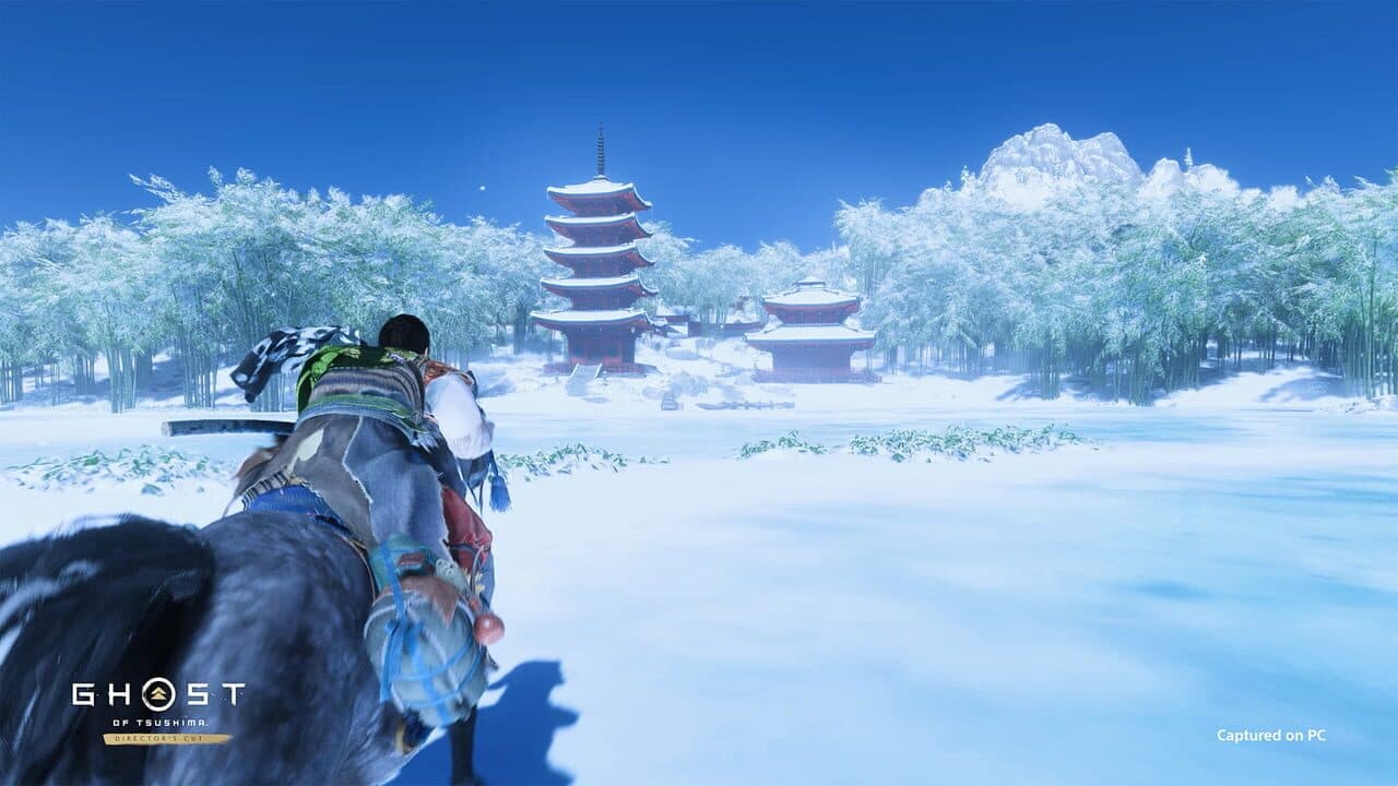 Ghost of Tsushima: Director's Cut thumbnail 5