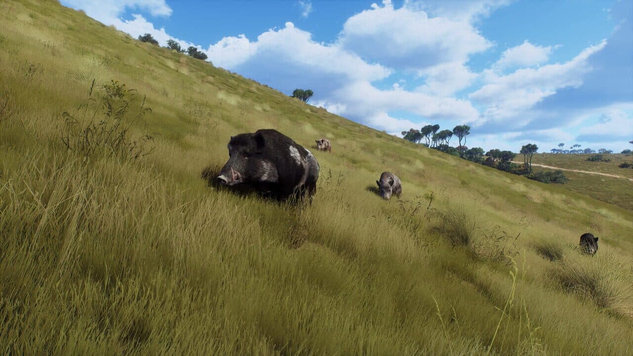 Way of the Hunter: Matariki Park thumbnail 2