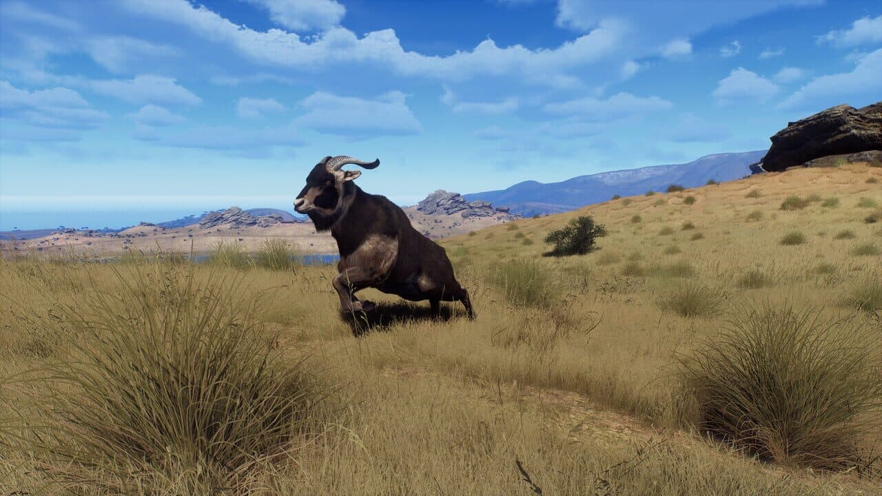 Way of the Hunter: Matariki Park thumbnail 4