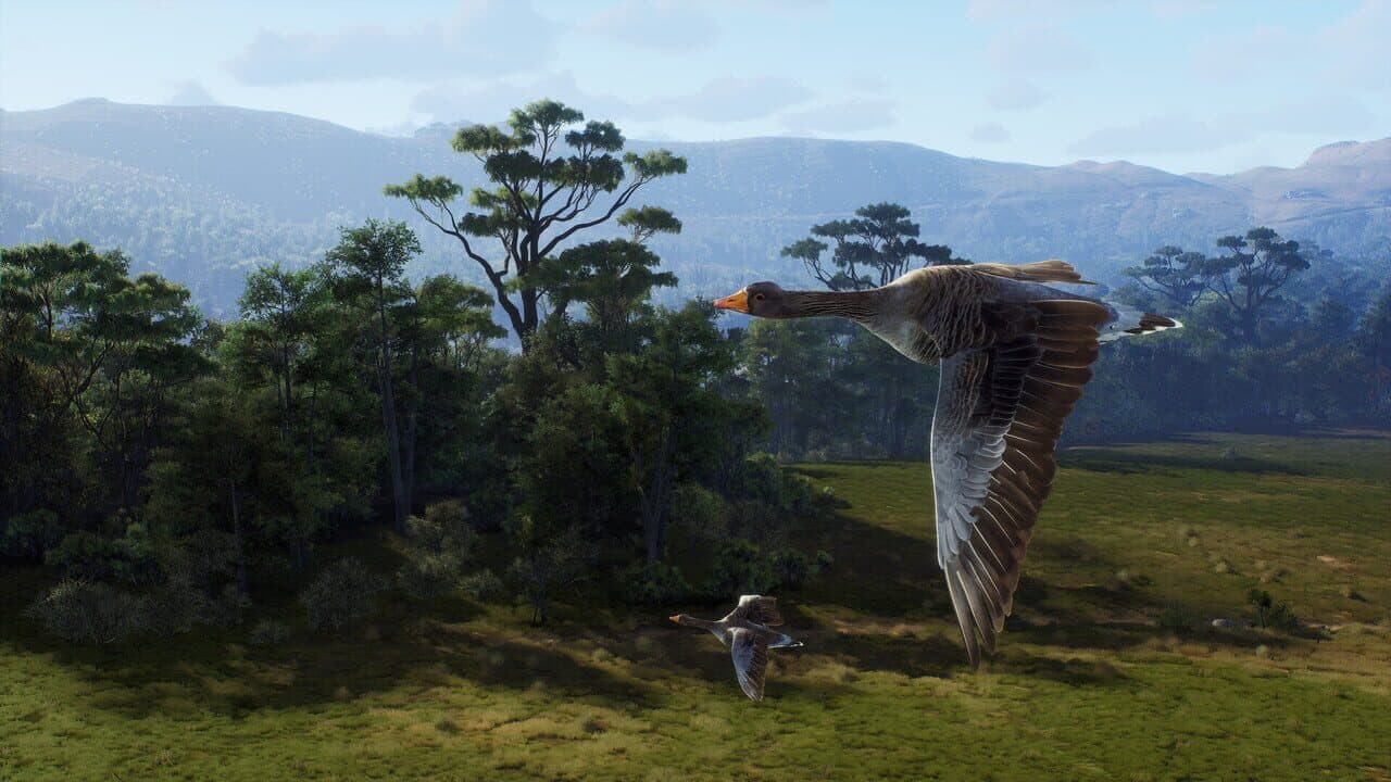 Way of the Hunter: Matariki Park thumbnail 5