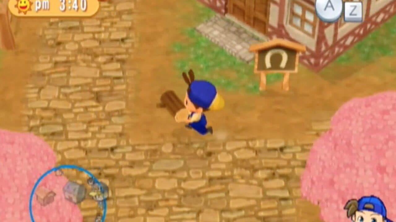 Harvest Moon: Magical Melody thumbnail 7
