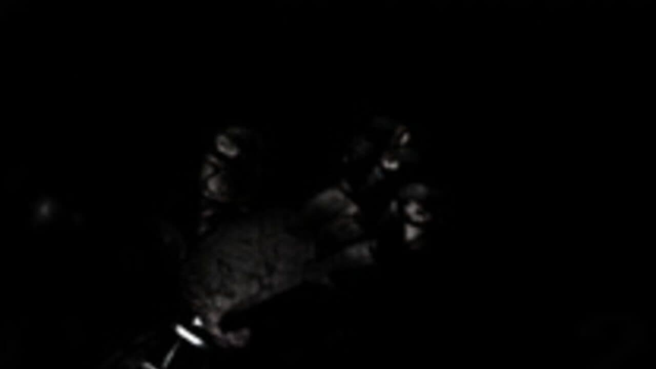 Five Nights at Fredbear's thumbnail 5