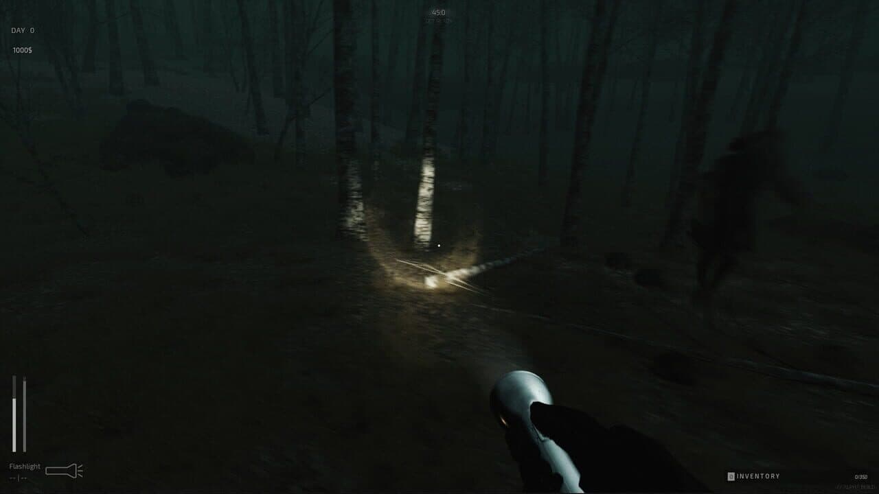 Descending The Woods thumbnail 5