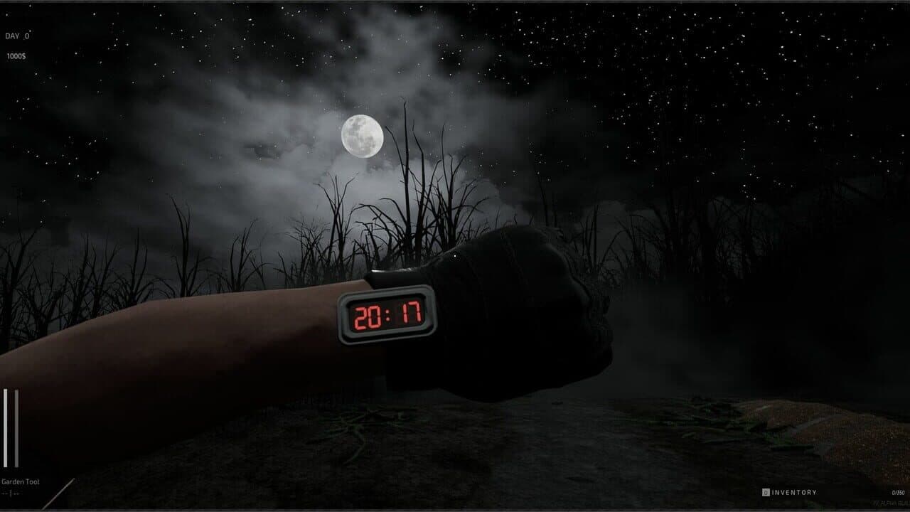 Descending The Woods thumbnail 6