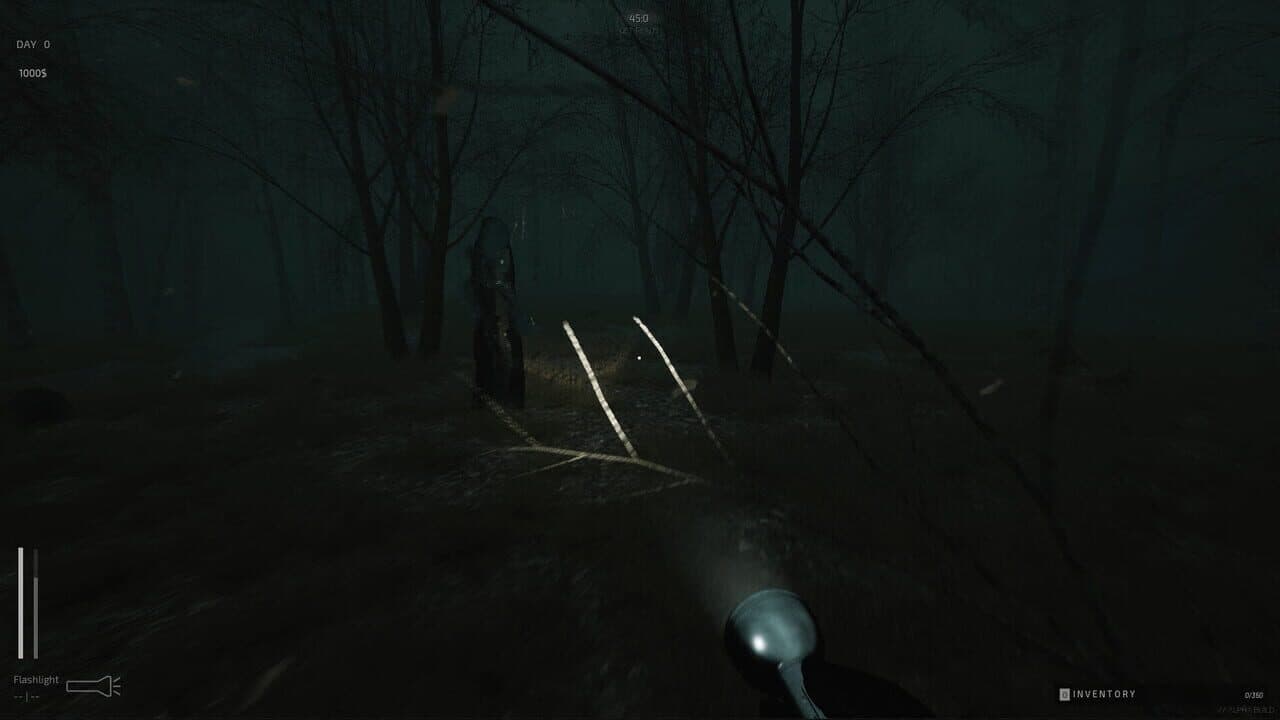 Descending The Woods thumbnail 15