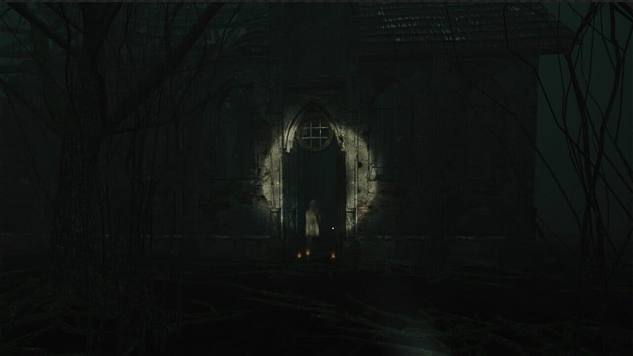 Descending The Woods thumbnail 13