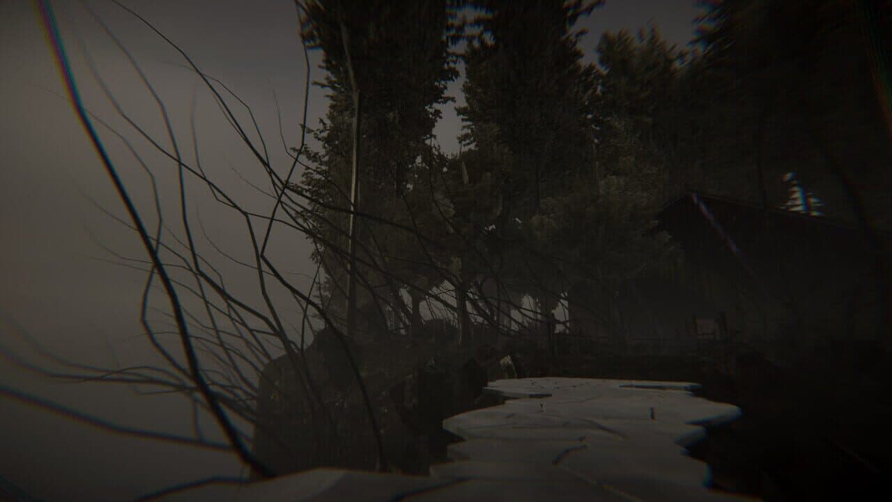 Dye The Bunny 2 thumbnail 7