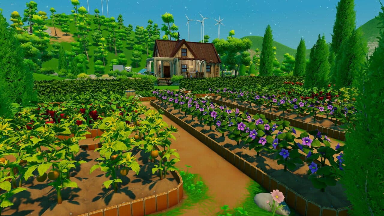 Autonomica thumbnail 6