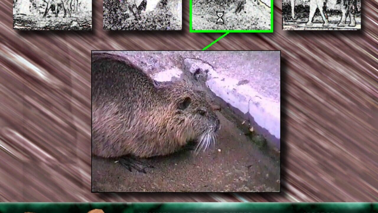 Angélica no Reino Animal thumbnail 7