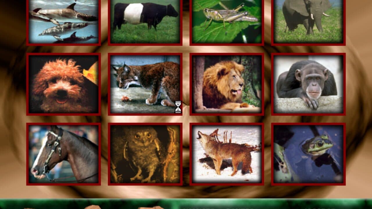 Angélica no Reino Animal thumbnail 5