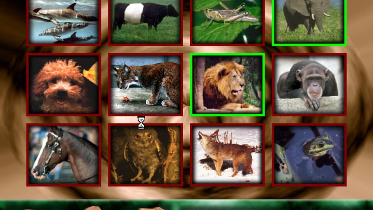 Angélica no Reino Animal thumbnail 12
