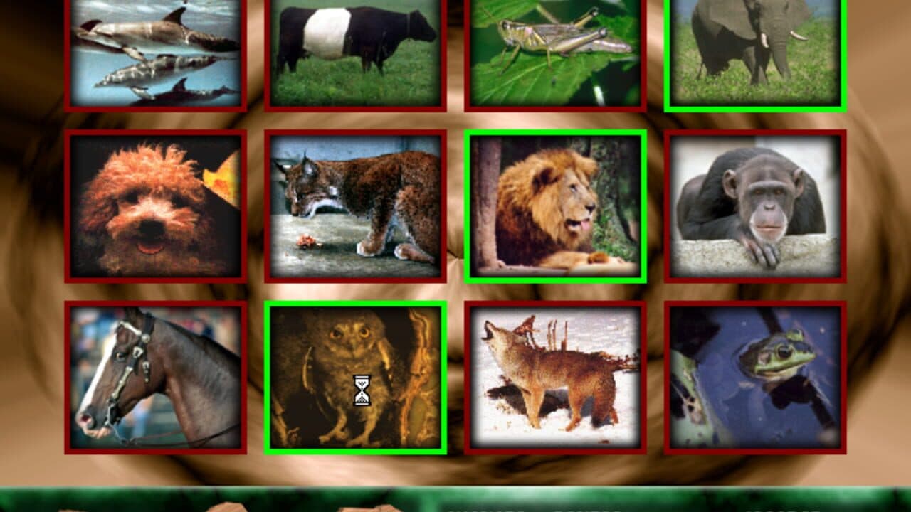 Angélica no Reino Animal thumbnail 13