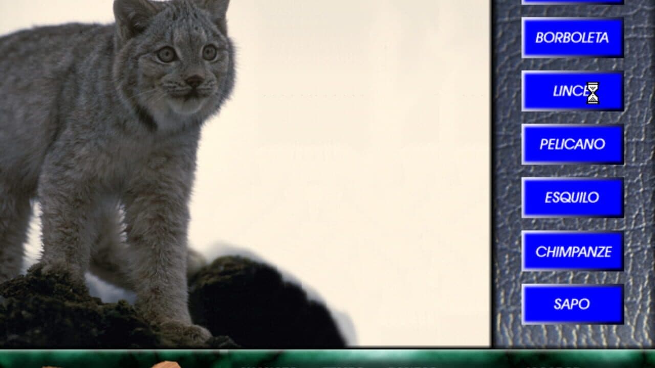 Angélica no Reino Animal thumbnail 10