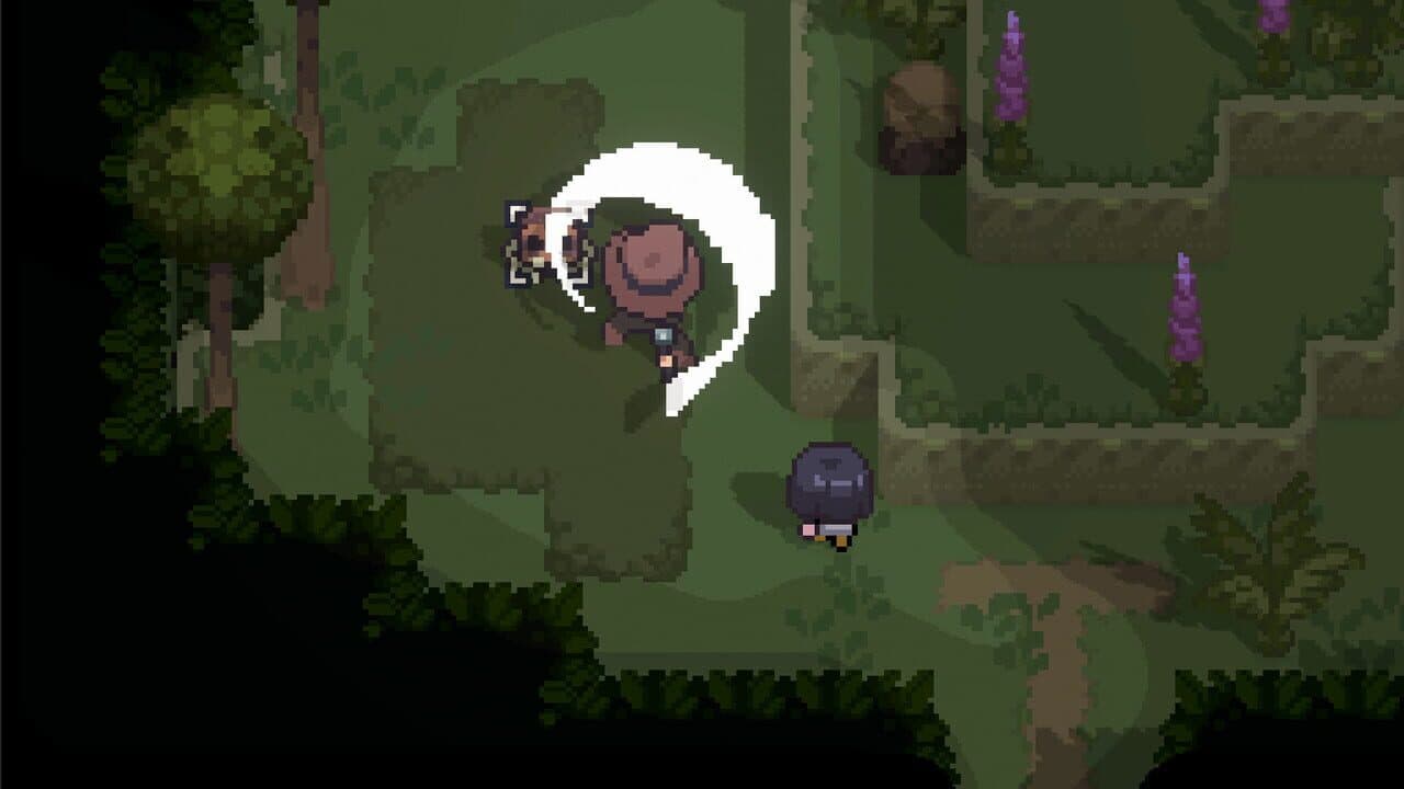 Graytail thumbnail 2