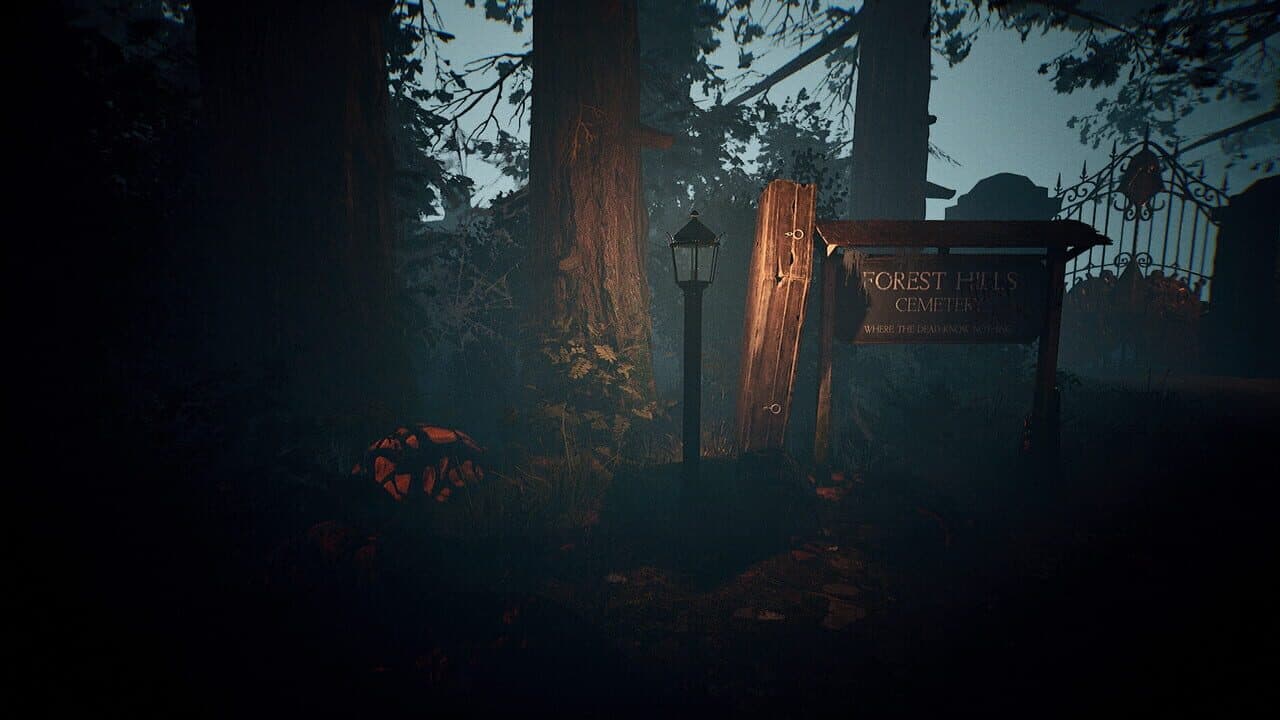 Forest Hills: The Last Year screenshot 1